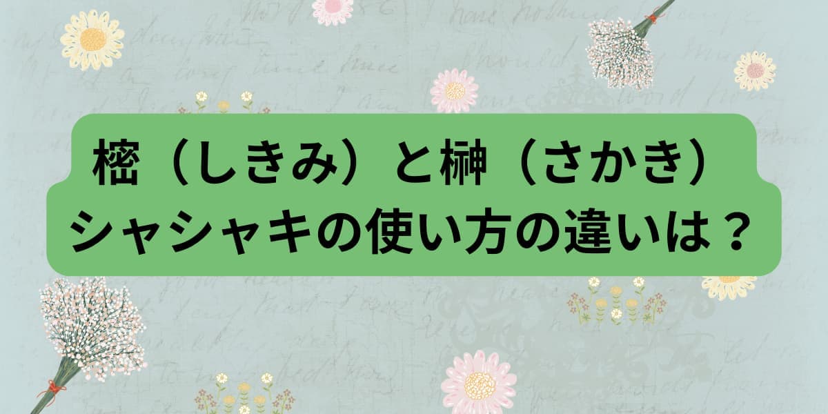 樒（しきみ）と榊（さかき）シャシャキの使い方の違いは？