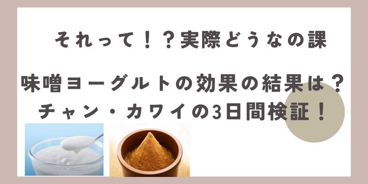 【実際どうなの課】味噌ヨーグルトの効果の結果は？チャン・カワイの3日間検証！