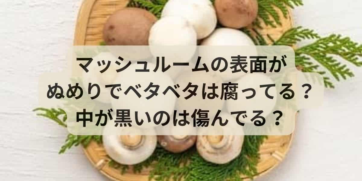 マッシュルームの表面がぬめりでベタベタは腐ってる？中が黒いのは傷んでる？