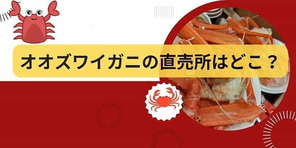 オオズワイガニの直売所はどこ?